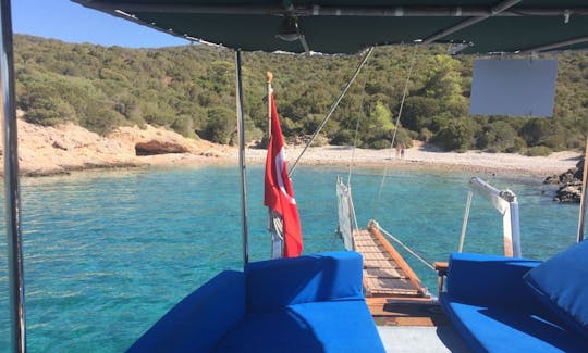 Excursion quotidienne en bateau privé à Bodrum, en Turquie