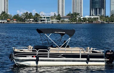 Good times on the water - 22 foot Pontoon Sun Tracker