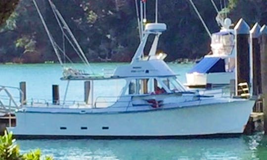 36' Geros Trawler Fishing Charter in Mangonui, New Zealand