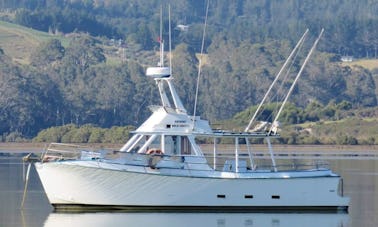 Charter de pesca con arrastrero Geros de 36 pies en Mangonui, Nueva Zelanda