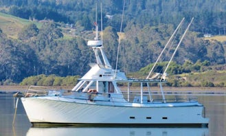36' Geros Trawler Fishing Charter in Mangonui, New Zealand