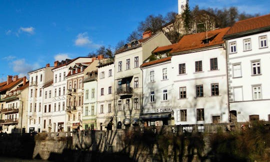 City Tour in Ljubljana