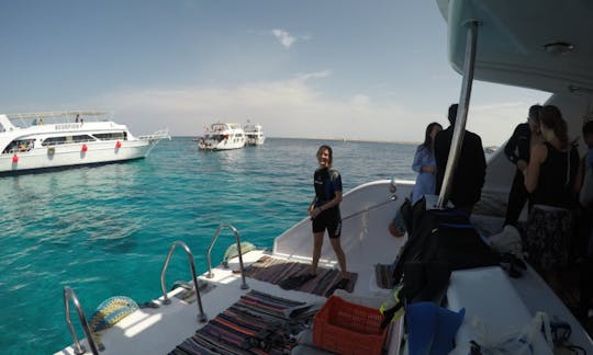 Fantastic Diving Adventure in South Sinai Governorate, Egypt