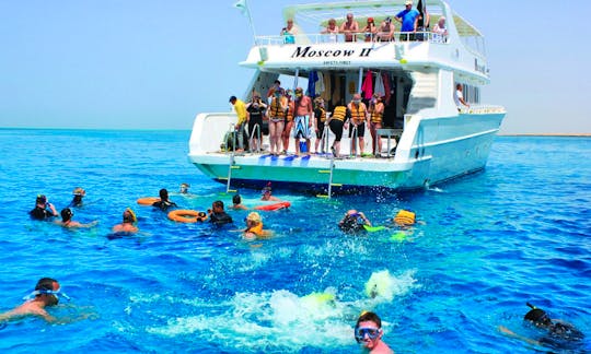 Fantastic Diving Adventure in South Sinai Governorate, Egypt
