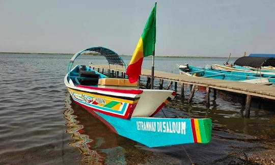 Traditional Boat Tour for 7 Person in Fatick, Senegal