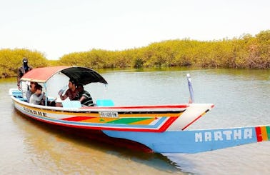 Traditional Boat Tour to Bird Islands in Fatick, Senegal