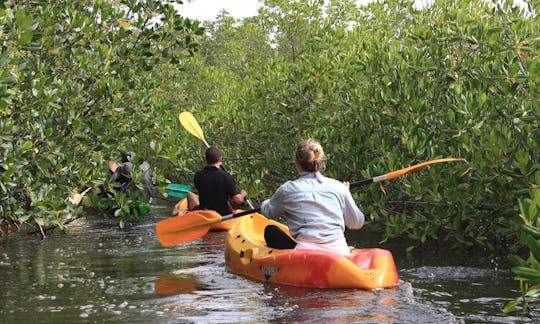 Traditional Boat Tour to Bird Islands in Fatick, Senegal