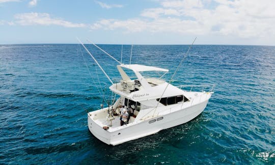 Yate D'Unienville Craft Flybridge de 38 pies para pesca deportiva en Albion