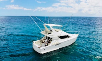 38' D'Unienville Craft Flybridge Yacht  forBig Game Fishing Charter in Albion