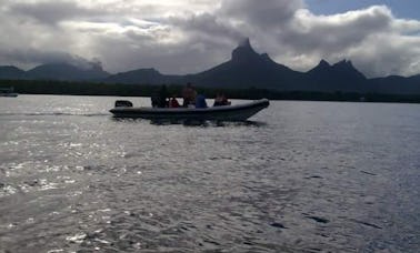 Exciting Dolphin Tour in Rivière Noire, Mauritius