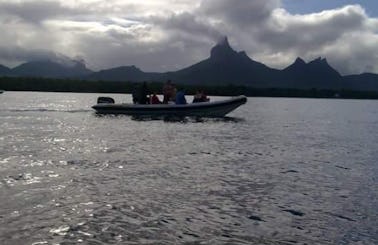 Exciting Dolphin Tour in Rivière Noire, Mauritius