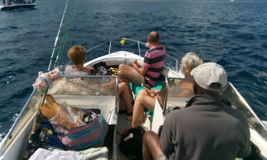 Exciting Dolphin Tour in Rivière Noire, Mauritius