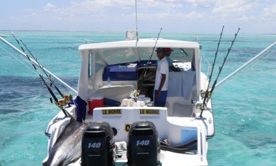 Reserve una aventura de pesca en Rivière Noire, Mauricio