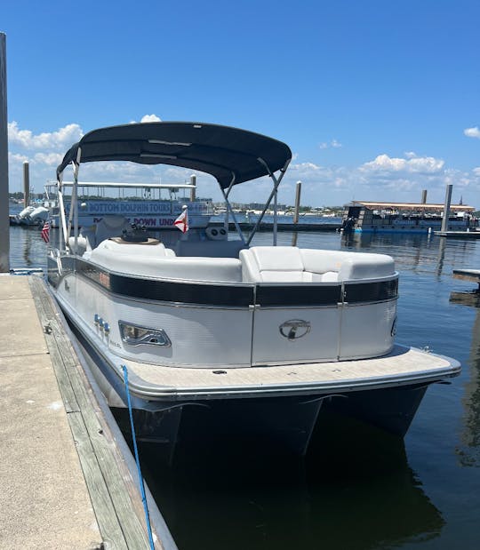 Beautiful Tritoon cruiser! Dolphin 🐬 Cruises, Sand bar fun! 🏖️