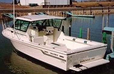 30' BAHA Sportfisherman Charter Boat located at Lakeside Marblehead, OH
