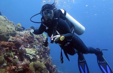 Go Diving with us in Bali, Indonesia