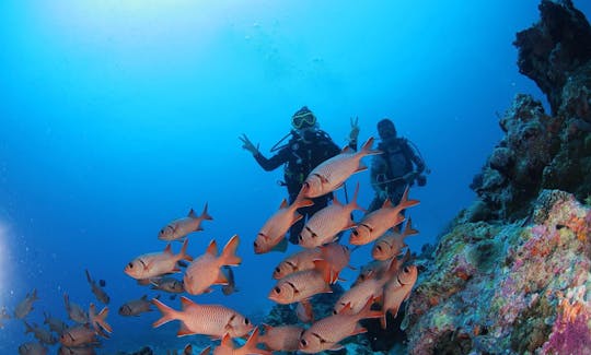 Best Underwater Experience in Koror, Palau