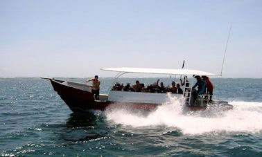 Todos los niveles de cursos de buceo ofrecidos en Diani, Kenia