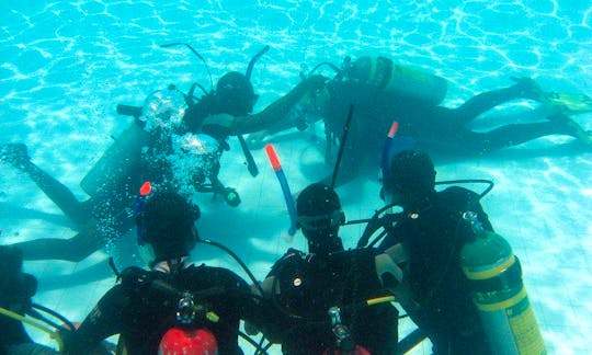 All Levels of Diving Courses Offered in Diani, Kenya