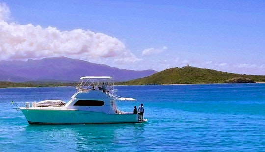 Top 10 Puerto Rico Boat Rentals For 2021 With Reviews Getmyboat
