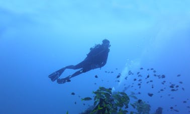 Scuba Diving Trip in Mauritius, the Paradise Island