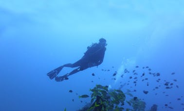 Excursion de plongée sous-marine à Maurice, l'île paradisiaque