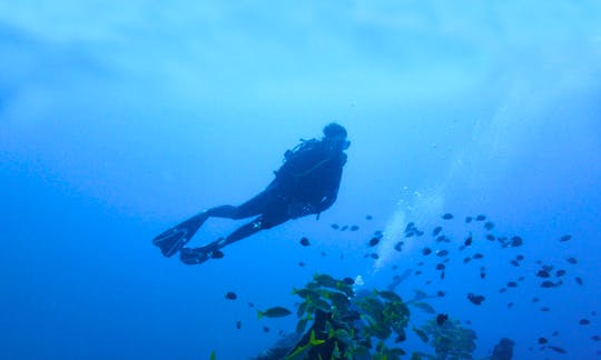 Scuba Diving Trip in Mauritius, the Paradise Island