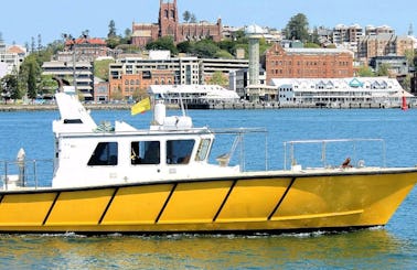 Rent this Pilot Boat in Wickham, New South Wales.