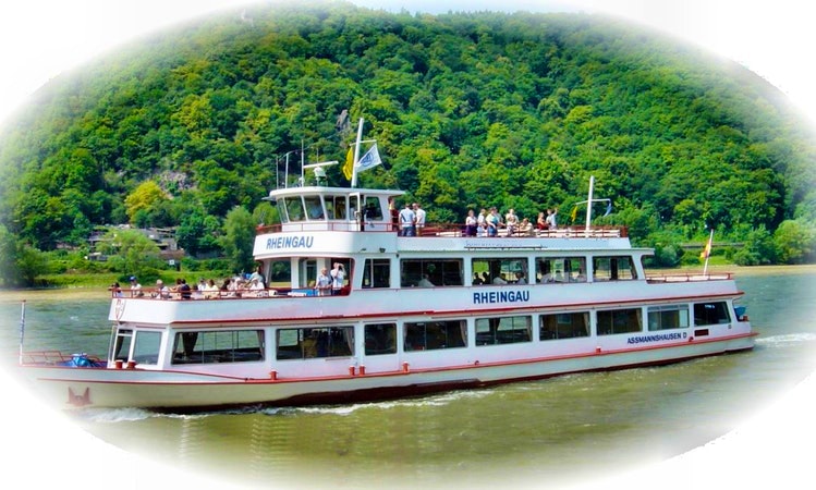 City Cruise and Wine Tasting Tour in Rudesheim am Rhein, Germany ...