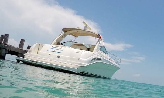 Aluguel de iate particular Sea Ray 410 Express Cruiser para grupos e famílias em Cancún