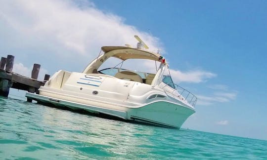 Luxury Sea Ray 410 Express Cruiser Private Yacht Rental for Groups, Families up to 15 Pax in Cancún, Quintana Roo