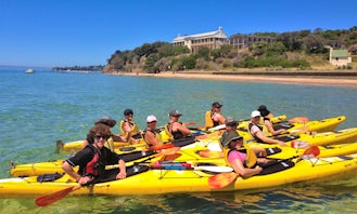 Dolphin Sanctuary Kayak Tour - Portsea Australia
