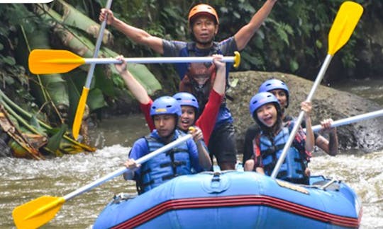 Pacote turístico de rafting, zoológico e parque de pássaros em Bali, Indonésia