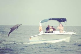 Dolphin Watching and Dive Trips in Albion, Mauritius
