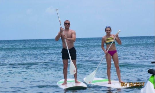 Guided Stand Up Paddleboard Tour in Cockleshell Bay