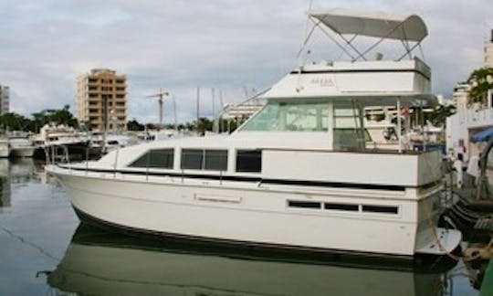 Bertram Motor Yacht for 8 People with English, Spanish and Italian Speaking Crew in Caraballeda