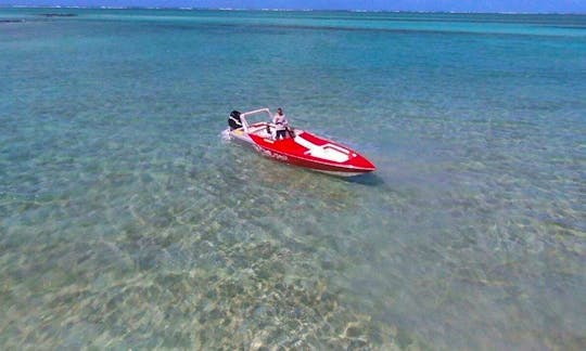 Private Speedboat Trip for 10 People with BBQ and Drinks Onboard in Mauritius
