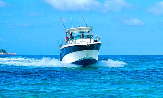 12-Person Cuddy Cabin Boat Tour and Fishing Charter in Praslin, Seychelles