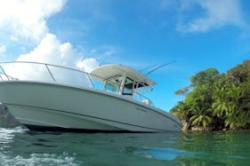 Center Console Boston Whaler Charter for 14 People in Mahé, Seychelles