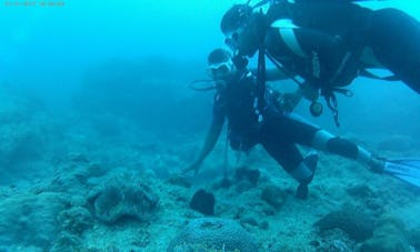 Visite guidée de plongée sous-marine à Flic En Flac, Maurice