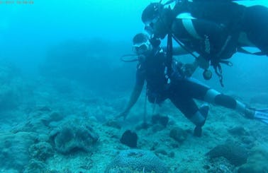 Guided Scuba Diving Tour in Flic En Flac, Mauritius