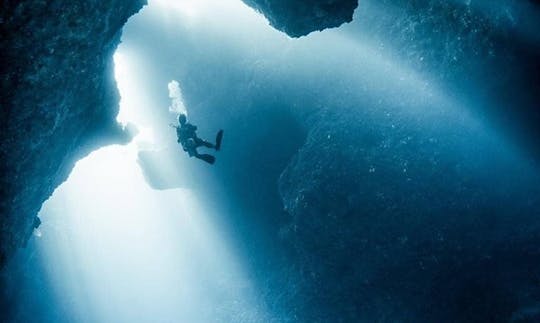 パラオの水中の美しさを存分に体験してください！