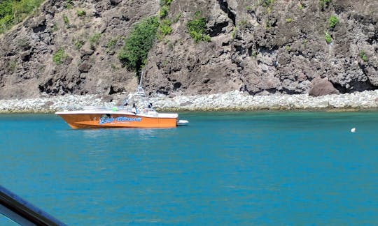 Boat Snorkel Adventure