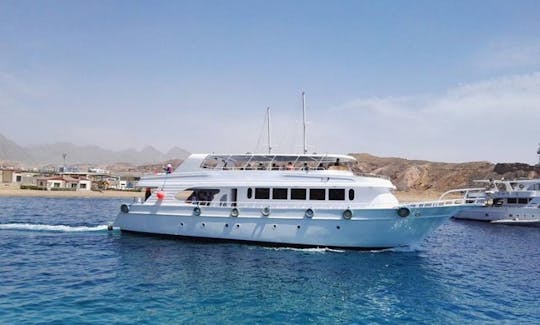 Excursión de buceo y cursos PADI ofrecidos en Sharm el-Sheikh, Egipto