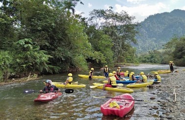 Guided Kayak Trips in Bukit Lawang, Indonesia