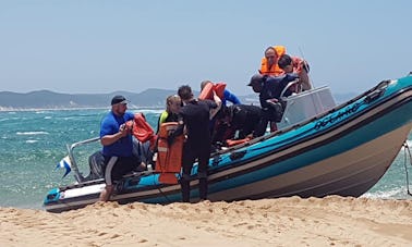 Aventure de plongée en bateau à Sodwana, Alliwal Shoal et au Mozambique