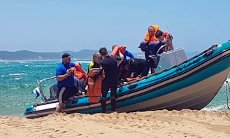Boat Diving Adventure to Sodwana, Alliwal Shoal and Mozambique