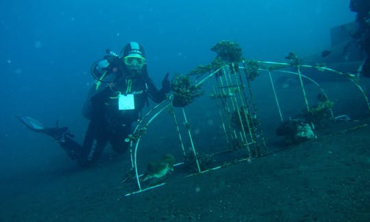 インドネシアのバリ島にダイビングに行こう