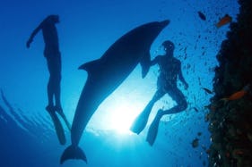 Scuba Diving in the Red Sea with Professional PADI Instructor