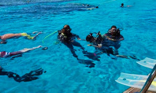 Scuba Diving in the Red Sea with Professional PADI Instructor